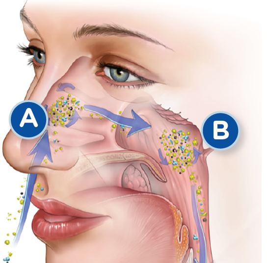 how does nasal irrigation work