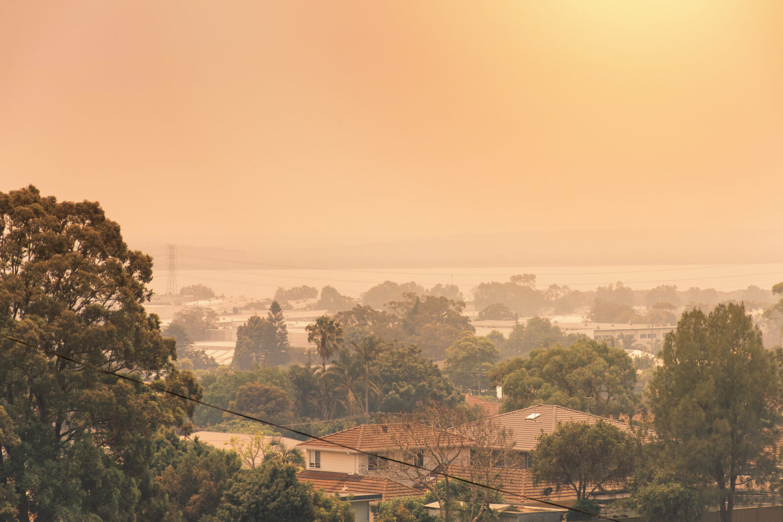 bushfire smoke outside